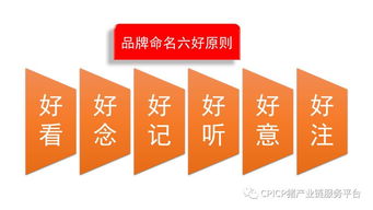 肖一刀 從無到有，打造豬肉品牌的戰略與啟示